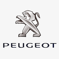 Automoive Parts for Peugeot 405, 206, 207, Pars, Roa