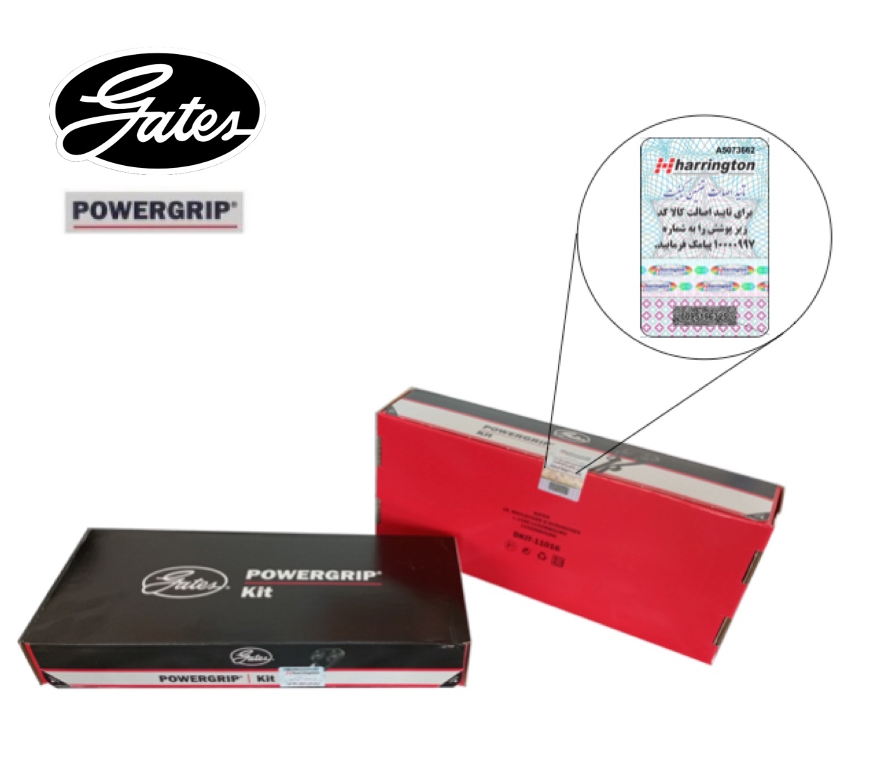 کیت تسمه تایم پاورگریپ PowerGrip گیتس - برچسب اصالت کالا هرینگتون